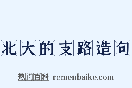 北大的支路造句是什么意思的图片